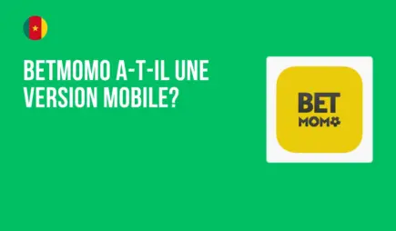 BetMomo a-t-il une version mobile?